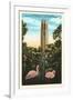 Flamingos, Singing Tower, Lake Wales, Florida-null-Framed Art Print