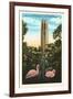 Flamingos, Singing Tower, Lake Wales, Florida-null-Framed Art Print