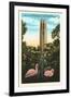 Flamingos, Singing Tower, Lake Wales, Florida-null-Framed Art Print