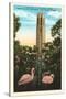 Flamingos, Singing Tower, Lake Wales, Florida-null-Stretched Canvas