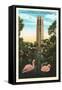 Flamingos, Singing Tower, Lake Wales, Florida-null-Framed Stretched Canvas