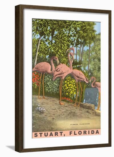 Flamingos, Stuart, Florida-null-Framed Art Print