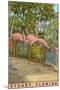 Flamingos, Stuart, Florida-null-Mounted Art Print