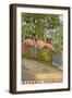 Flamingos, Stuart, Florida-null-Framed Art Print