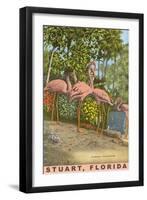 Flamingos, Stuart, Florida-null-Framed Art Print