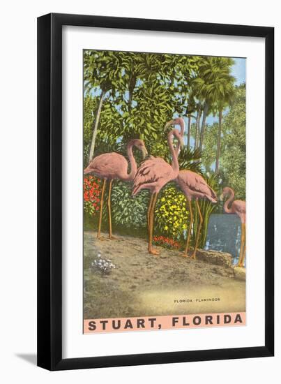 Flamingos, Stuart, Florida-null-Framed Art Print