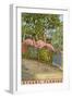 Flamingos, Stuart, Florida-null-Framed Art Print