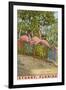 Flamingos, Stuart, Florida-null-Framed Art Print