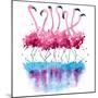 Flamingos Watercolor Painting-Kamieshkova-Mounted Art Print