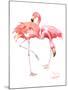 Flamingos-Suren Nersisyan-Mounted Art Print