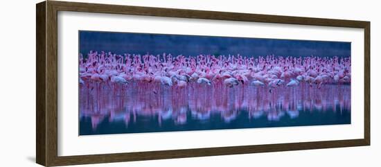 Flamingos-David Hua-Framed Photographic Print