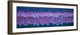 Flamingos-David Hua-Framed Photographic Print