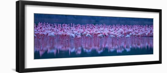 Flamingos-David Hua-Framed Photographic Print