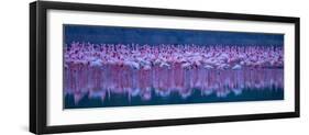 Flamingos-David Hua-Framed Photographic Print