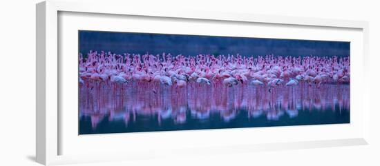 Flamingos-David Hua-Framed Photographic Print