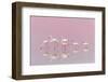 Flamingos-Eiji Itoyama-Framed Photographic Print