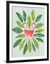 Flamingos-Cat Coquillette-Framed Art Print