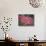 Flamingos-John Gusky-Stretched Canvas displayed on a wall