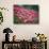 Flamingos-John Gusky-Photographic Print displayed on a wall