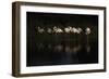 Flamingos-Natalia Rublina-Framed Giclee Print