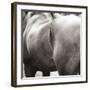 Flank-Joseph Eta-Framed Giclee Print