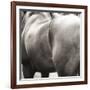 Flank-Joseph Eta-Framed Giclee Print