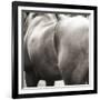 Flank-Joseph Eta-Framed Giclee Print