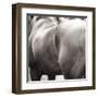 Flank-Joseph Eta-Framed Giclee Print