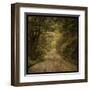 Flannery Fork Road No. 1-John Golden-Framed Art Print