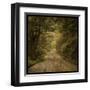 Flannery Fork Road No. 1-John Golden-Framed Art Print