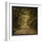 Flannery Fork Road No. 1-John Golden-Framed Art Print