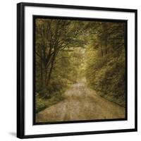 Flannery Fork Road No. 1-John Golden-Framed Giclee Print