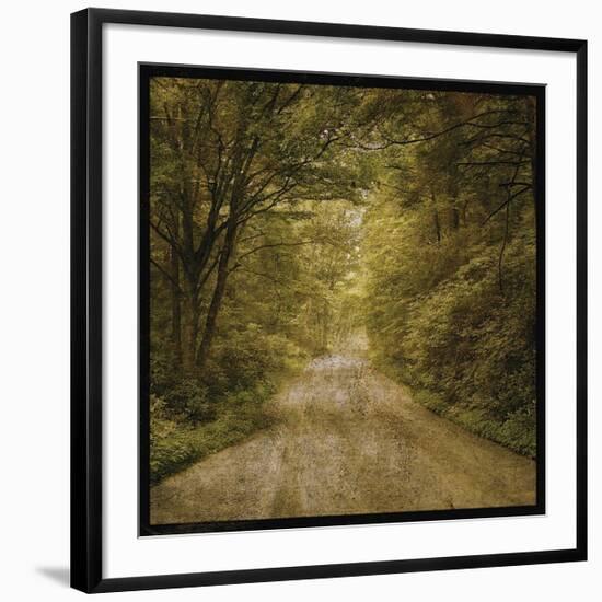Flannery Fork Road No. 1-John Golden-Framed Giclee Print