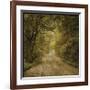 Flannery Fork Road No. 1-John Golden-Framed Giclee Print