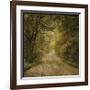 Flannery Fork Road No. 1-John Golden-Framed Giclee Print