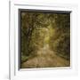 Flannery Fork Road No. 1-John Golden-Framed Giclee Print