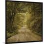 Flannery Fork Road No. 1-John Golden-Mounted Giclee Print