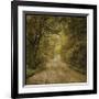 Flannery Fork Road No. 1-John Golden-Framed Giclee Print