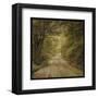 Flannery Fork Road No. 1-John W^ Golden-Framed Art Print