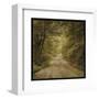 Flannery Fork Road No. 1-John W^ Golden-Framed Art Print