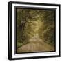 Flannery Fork Road No. 1-John W Golden-Framed Giclee Print