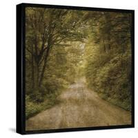 Flannery Fork Road No. 1-John W Golden-Stretched Canvas