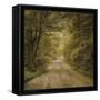 Flannery Fork Road No. 1-John W Golden-Framed Stretched Canvas
