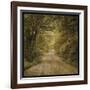 Flannery Fork Road No. 1-John W Golden-Framed Giclee Print