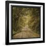 Flannery Fork Road No. 1-John W Golden-Framed Giclee Print