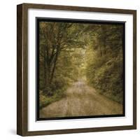 Flannery Fork Road No. 1-John W Golden-Framed Giclee Print