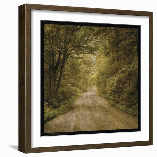 Flannery Fork Road No. 1-John W Golden-Framed Giclee Print