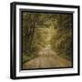Flannery Fork Road No. 1-John W Golden-Framed Giclee Print