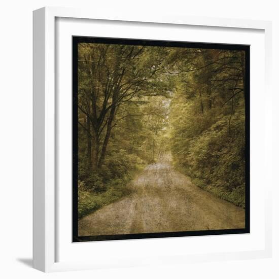 Flannery Fork Road No. 1-John W Golden-Framed Giclee Print