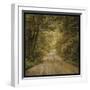 Flannery Fork Road No. 1-John W Golden-Framed Giclee Print